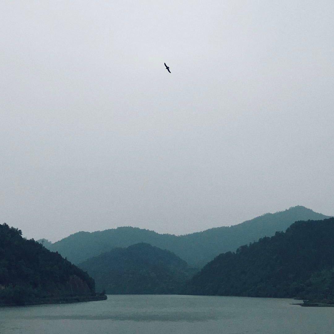 周惟