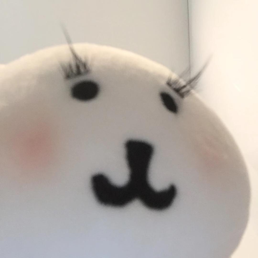 肥肥