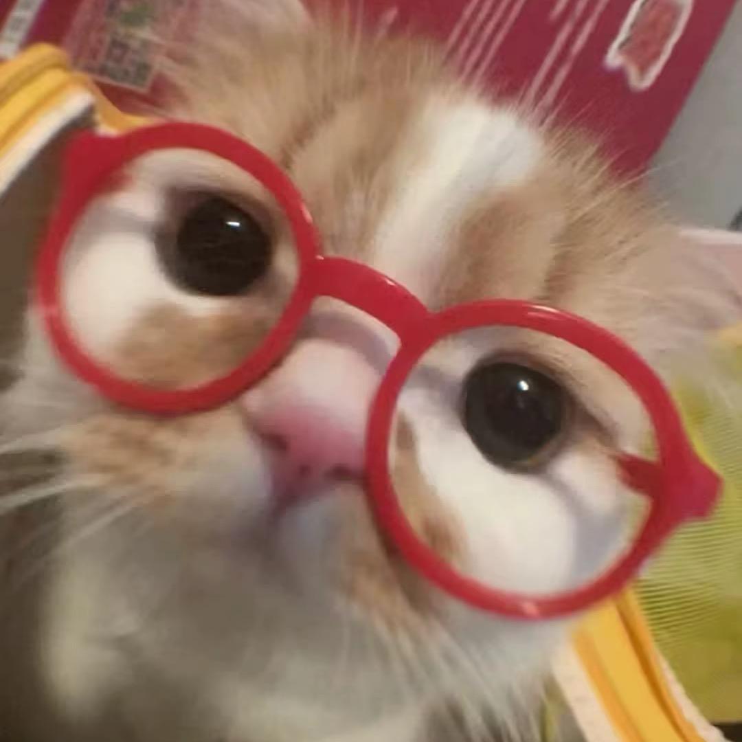 钱滚滚来＄