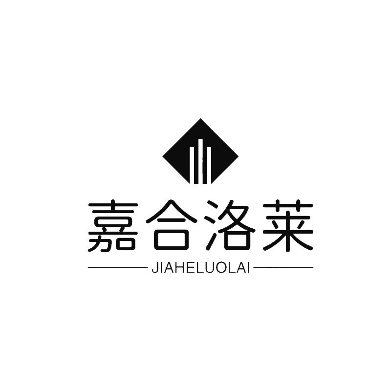 嘉合品牌服饰（可拿货）