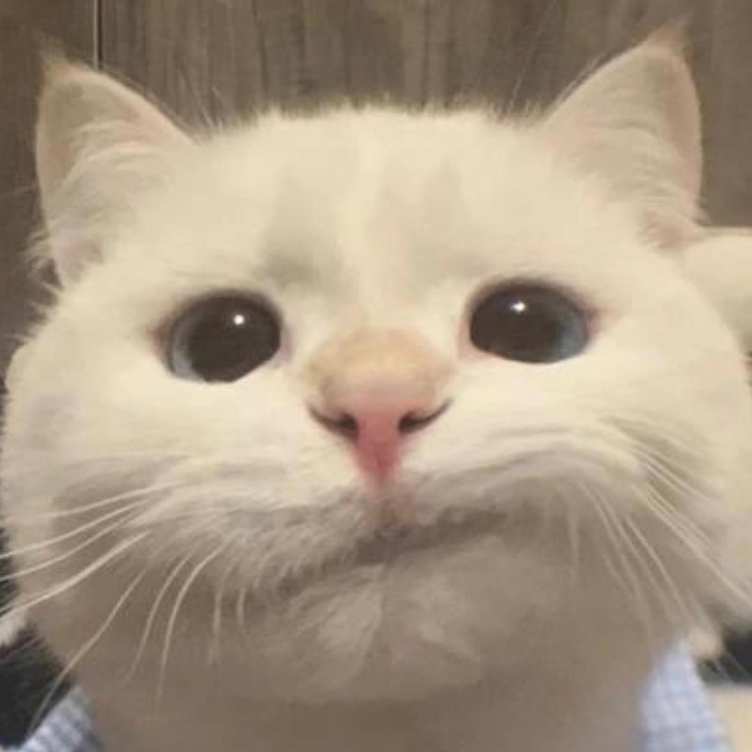 W.