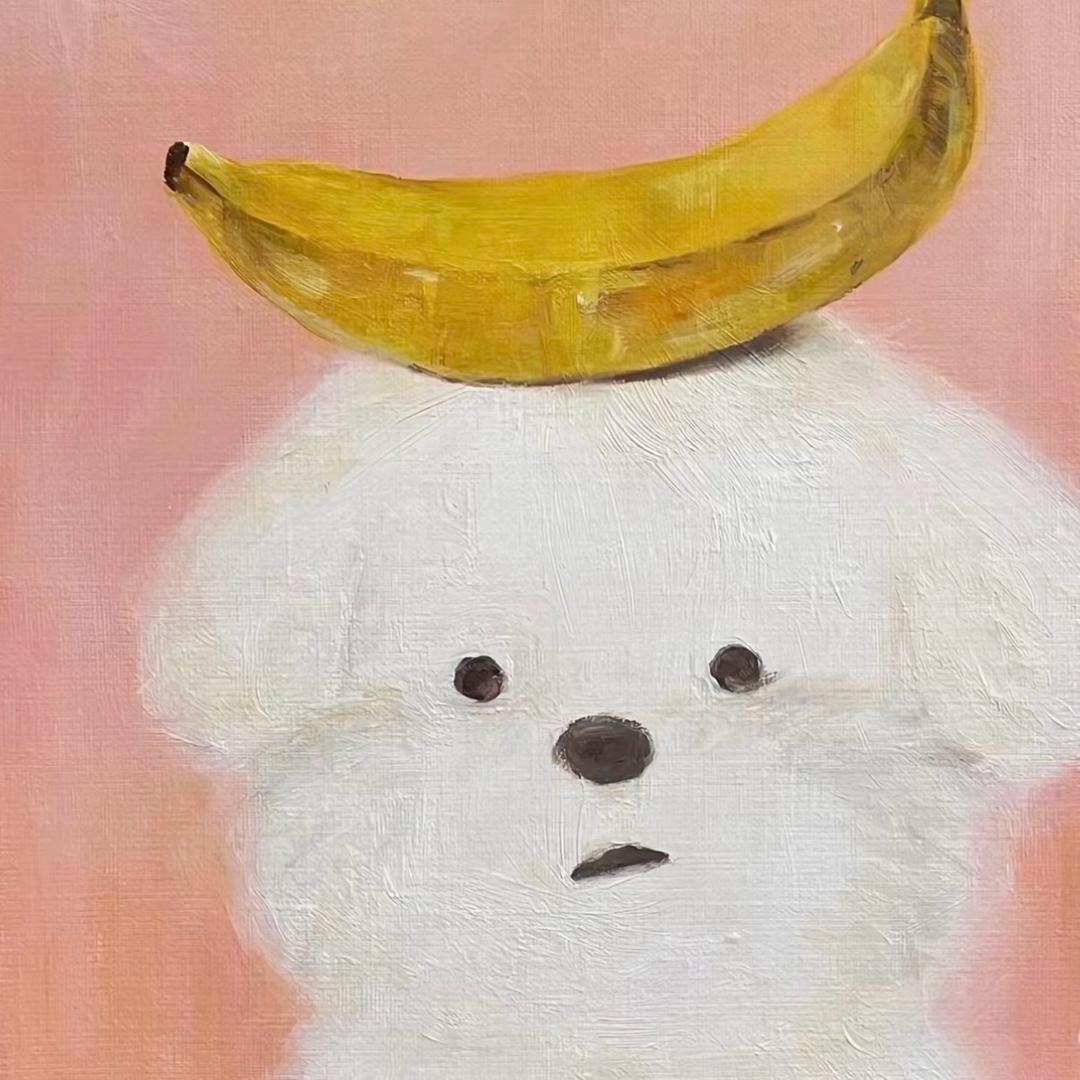 土拨子狗📸