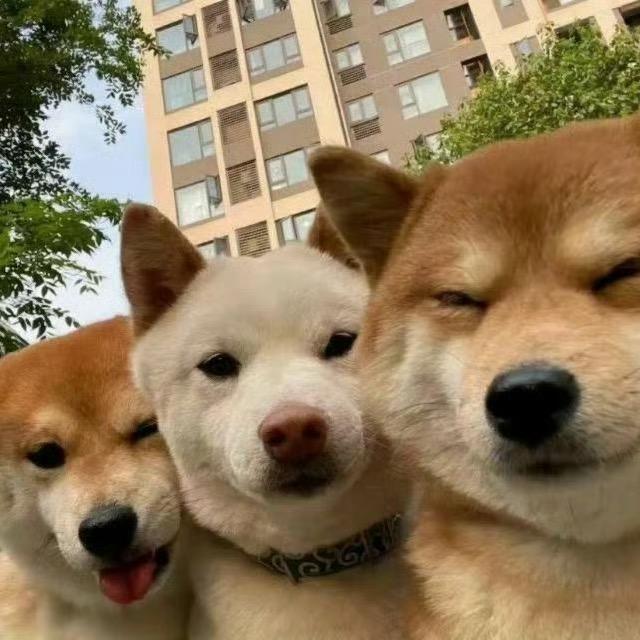 碎碎念