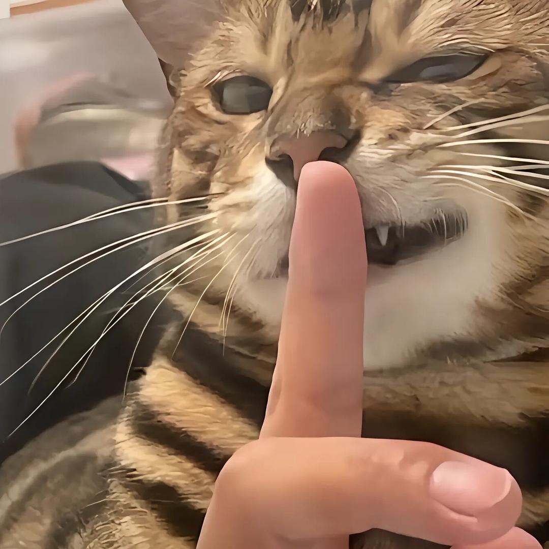 小太子奶
