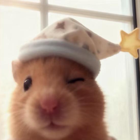 重生之我在百诚水产当服务员♡