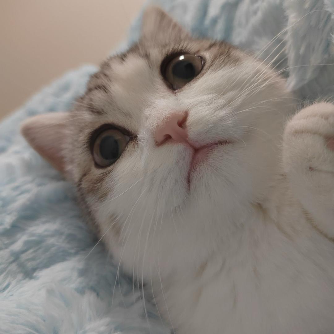 🌈小庄