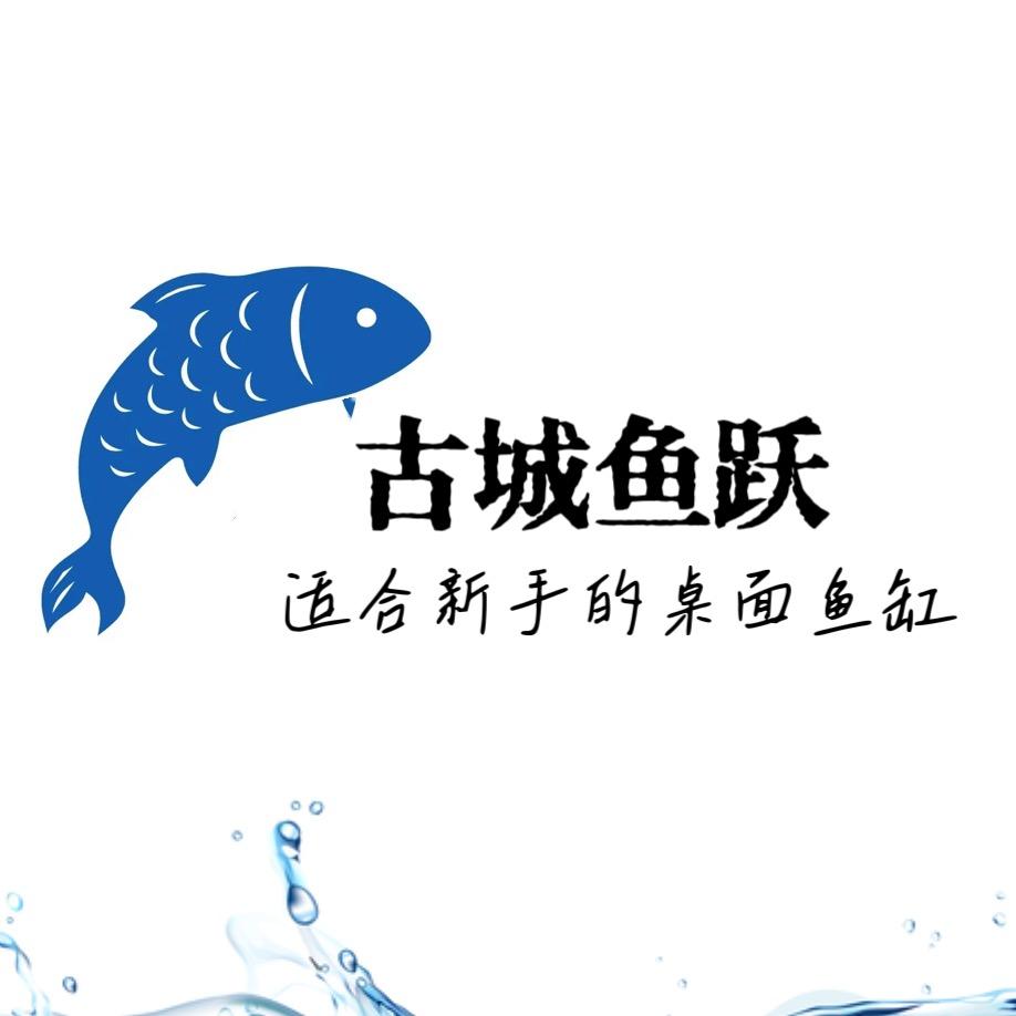 古城鱼跃
