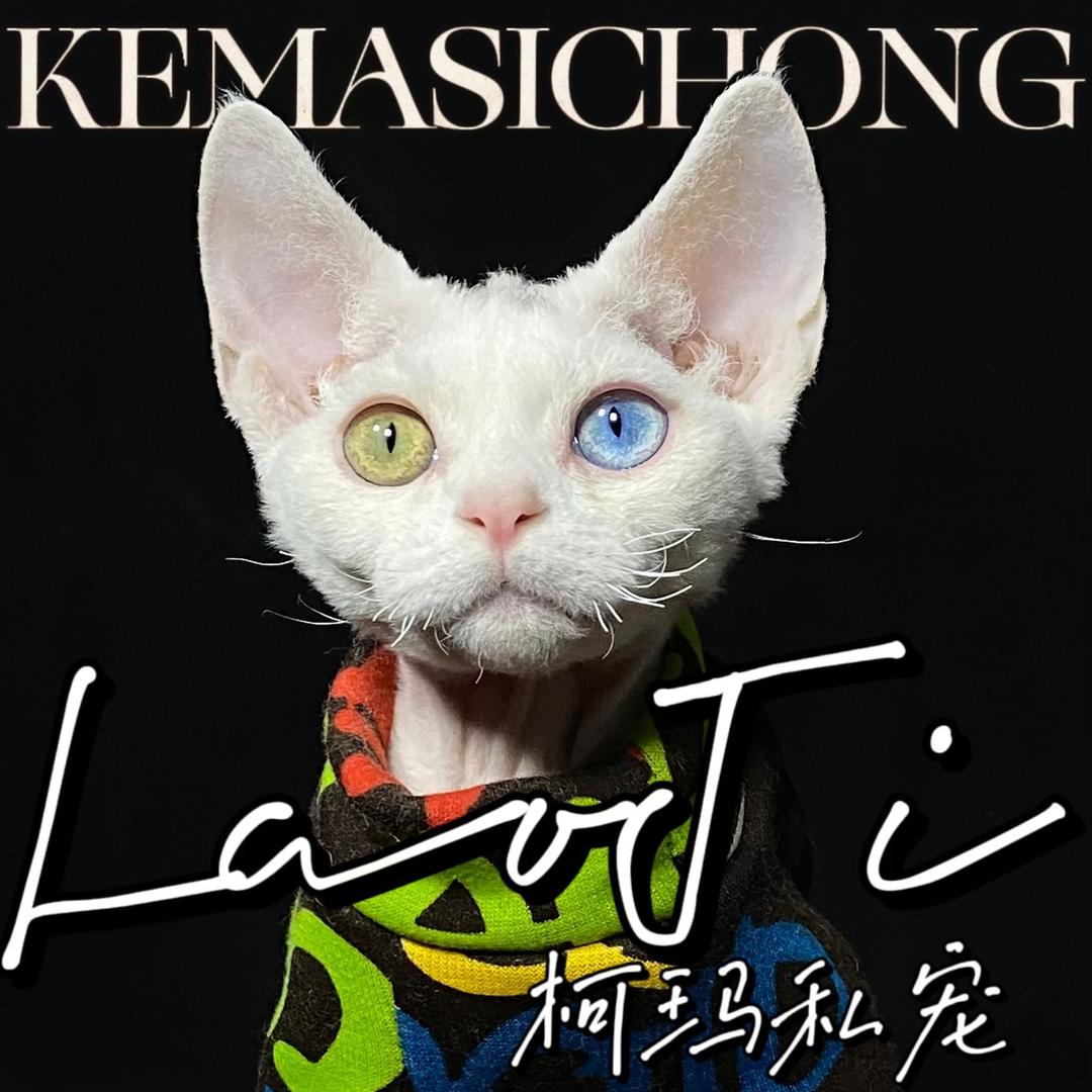 老纪家的萌宠（宠物回收）