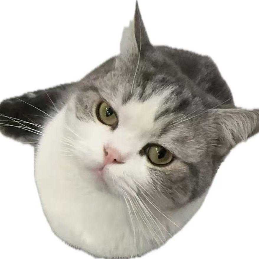 ^程程^