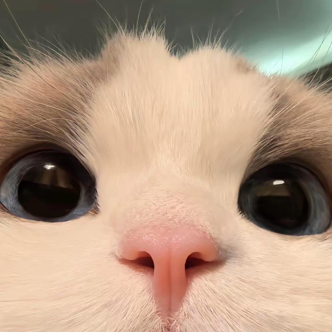 林扬