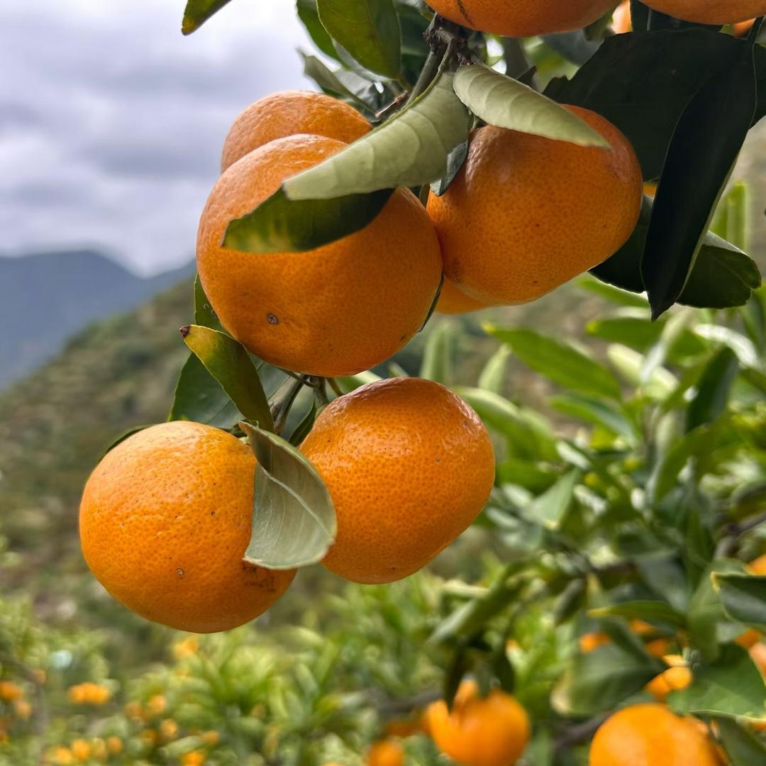 朝阳区典范商贸行