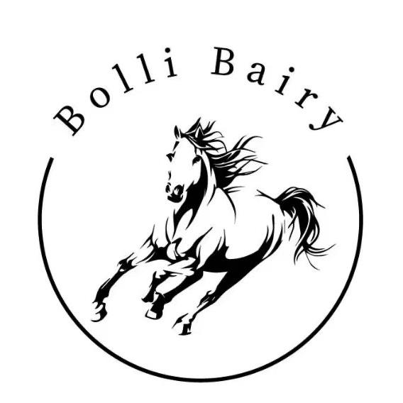 Bolli Bairy男鞋旗舰店