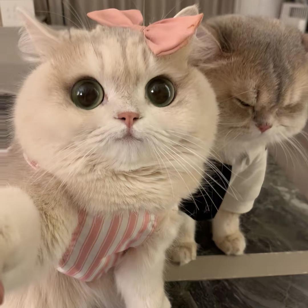 小瓶姐姐