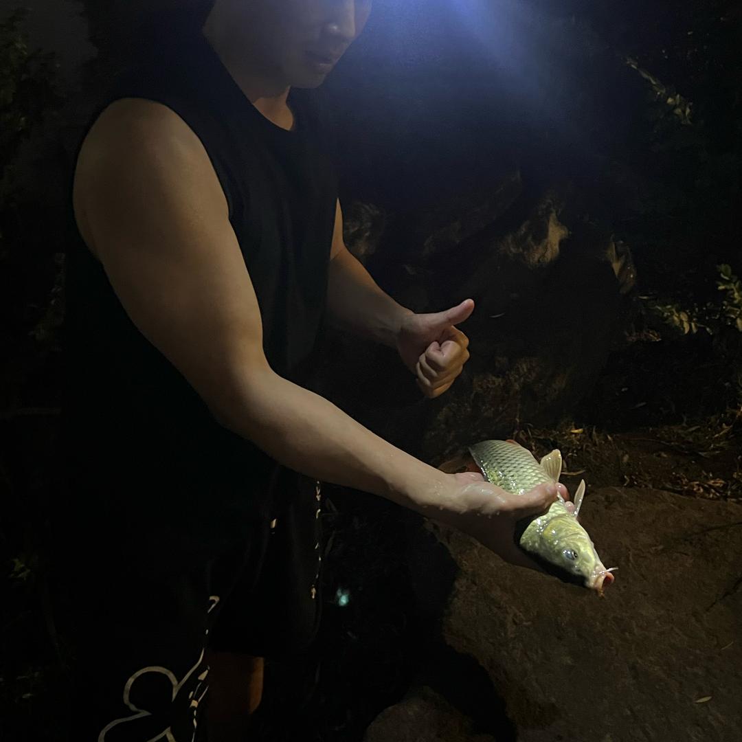 登式资本（斗罗手搓）