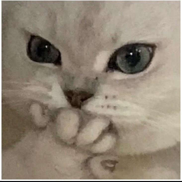 清酒i