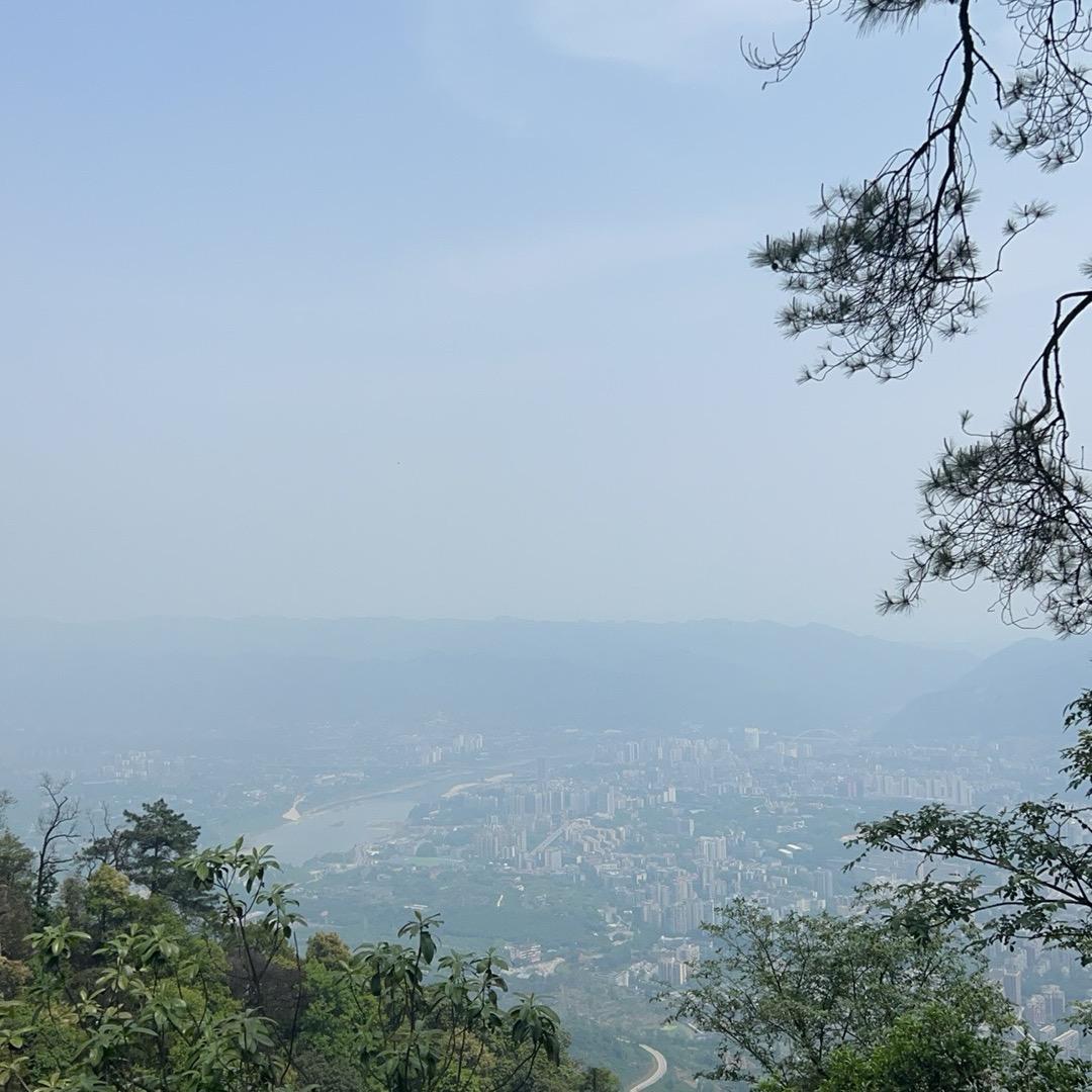 专业木工、家装、公装