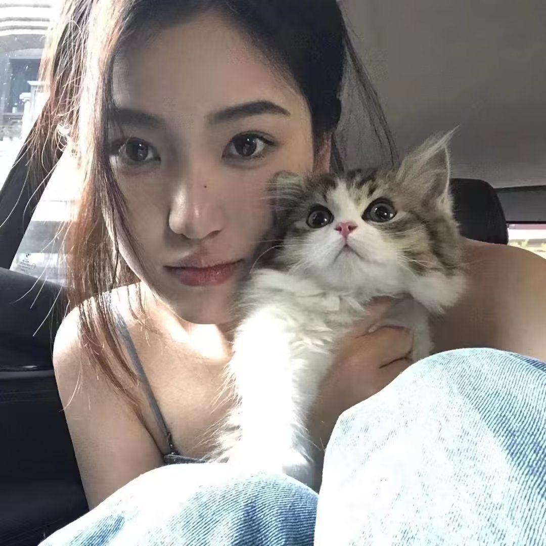 樊樊