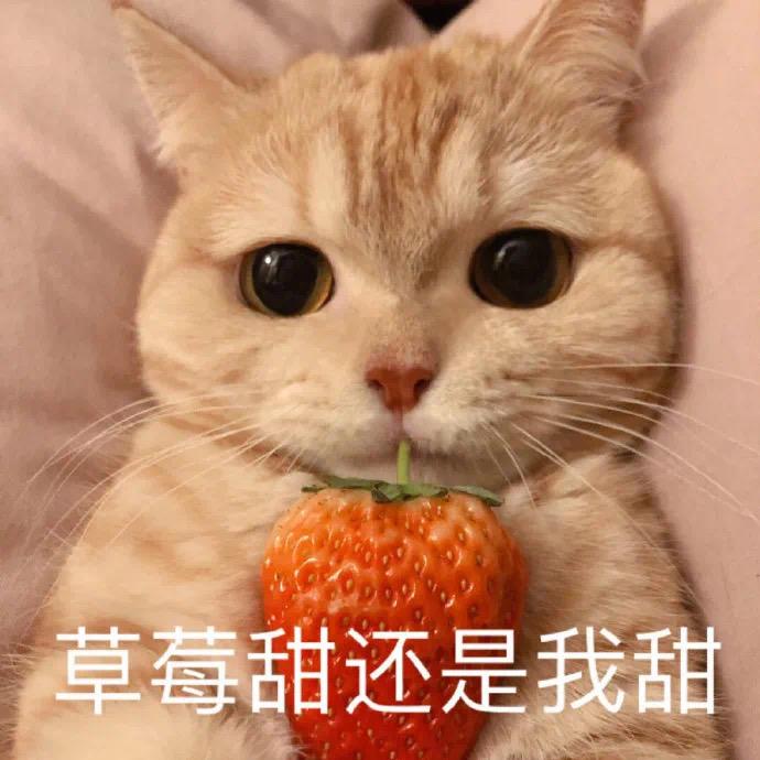 Eba Z