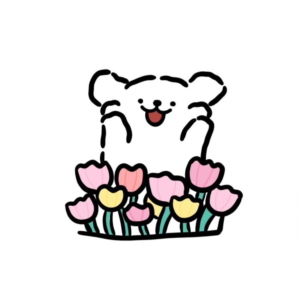 哈喽～