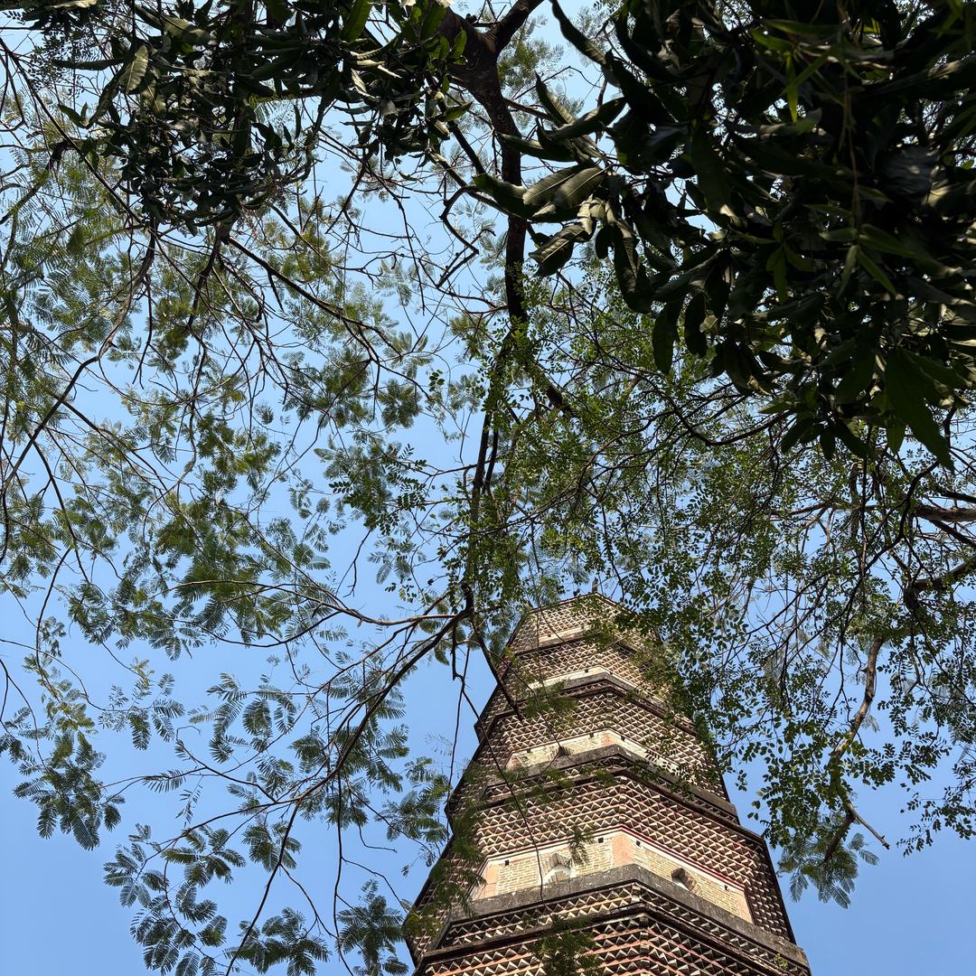 天天35