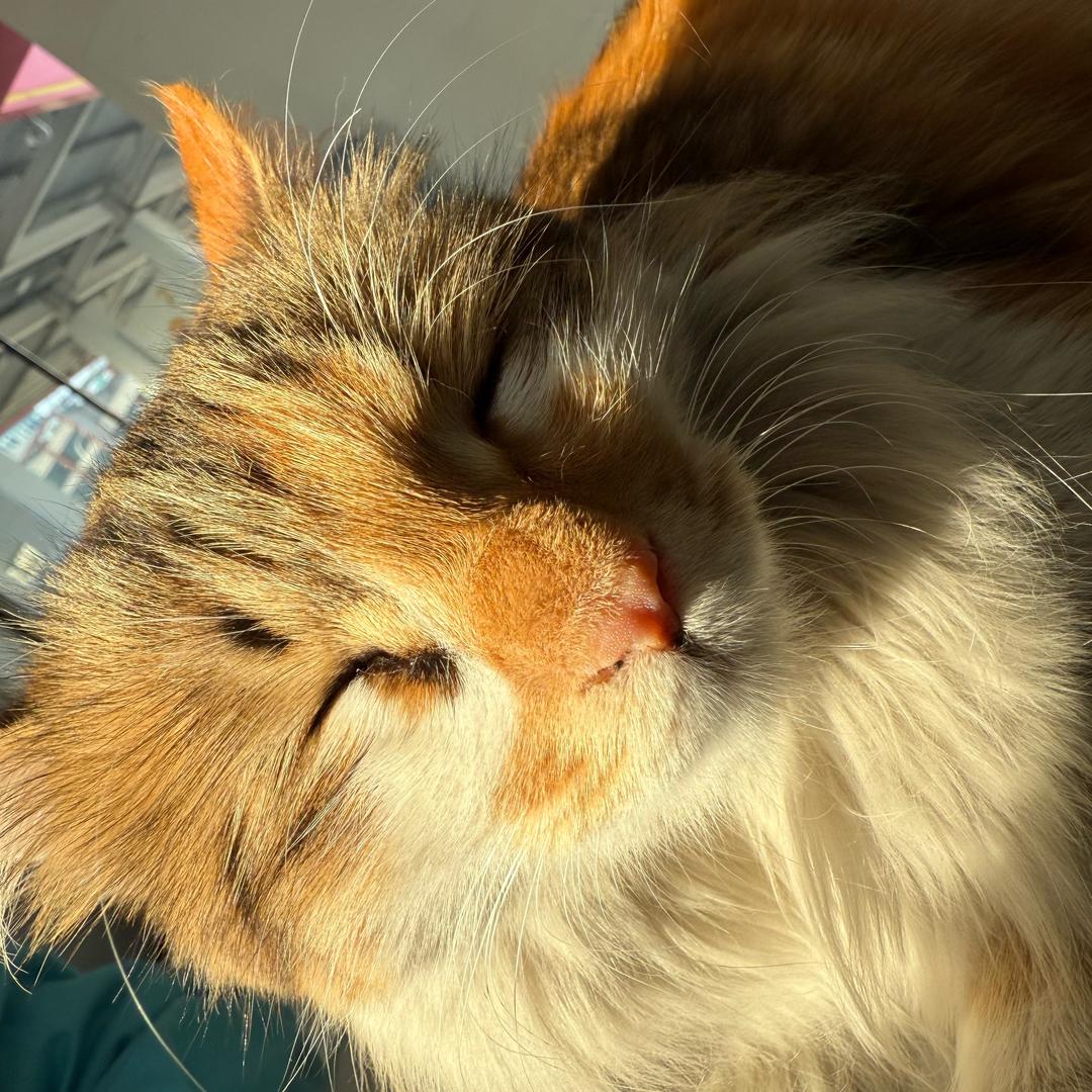 中国石油泰安6站