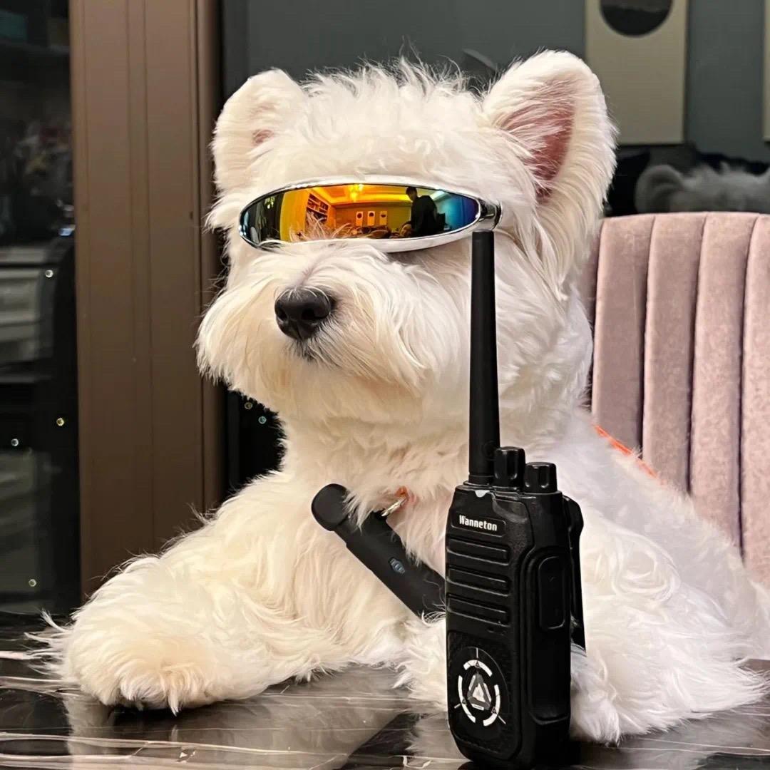 哈哈哈哈哈哈🙇