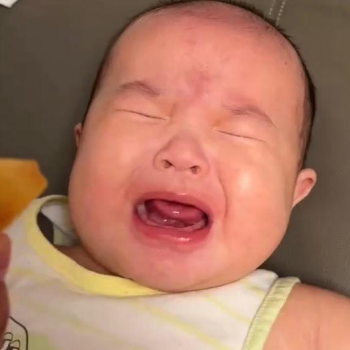 樊腾腾  😋