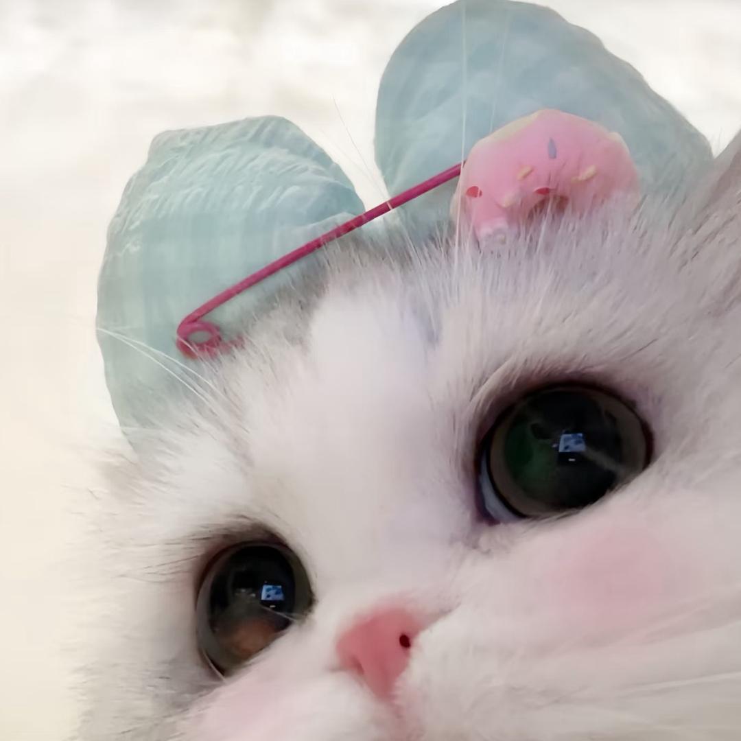 萌.