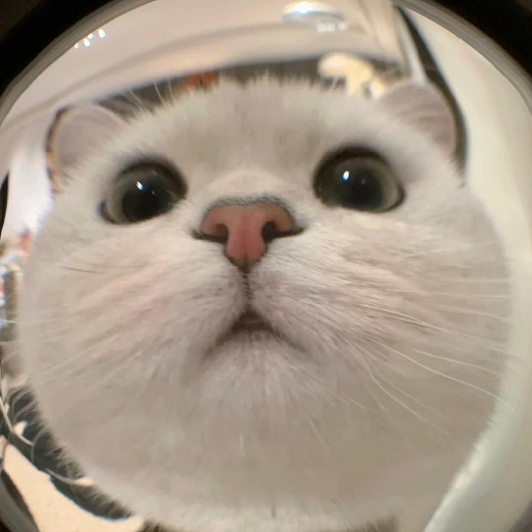 小赵メ