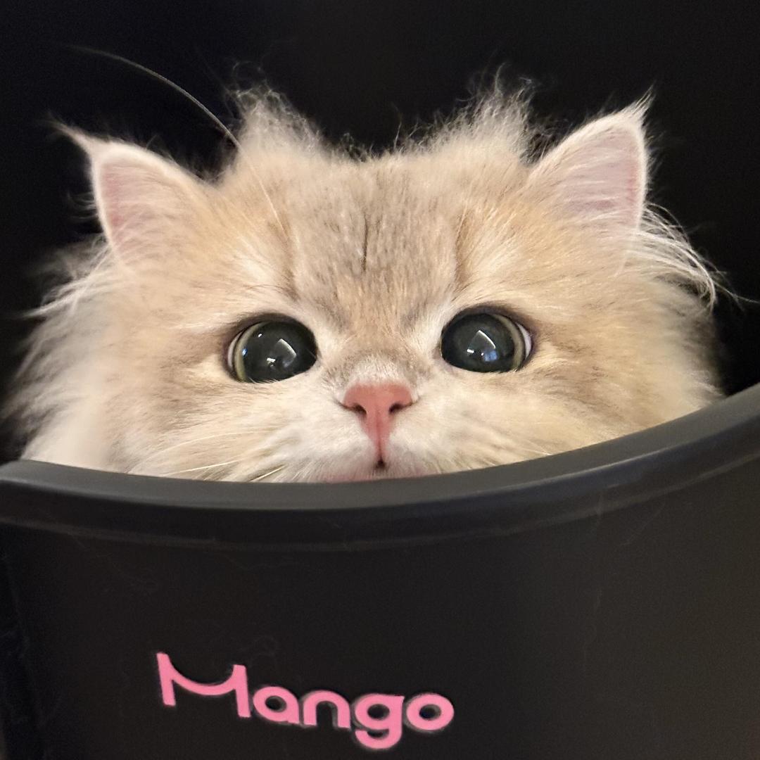 怡.