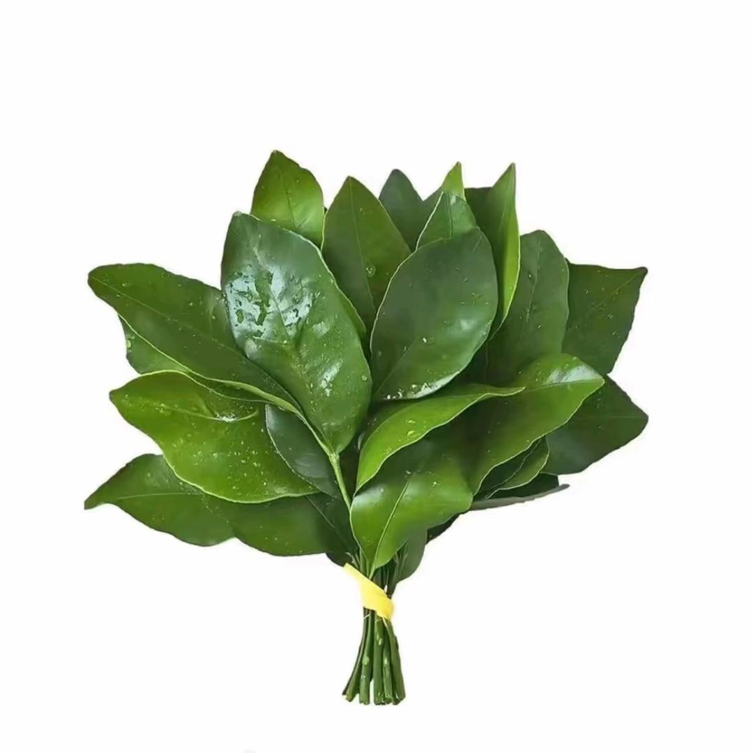 戒掉奶茶