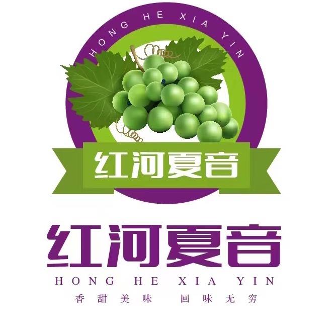 阳光玫瑰种植基地