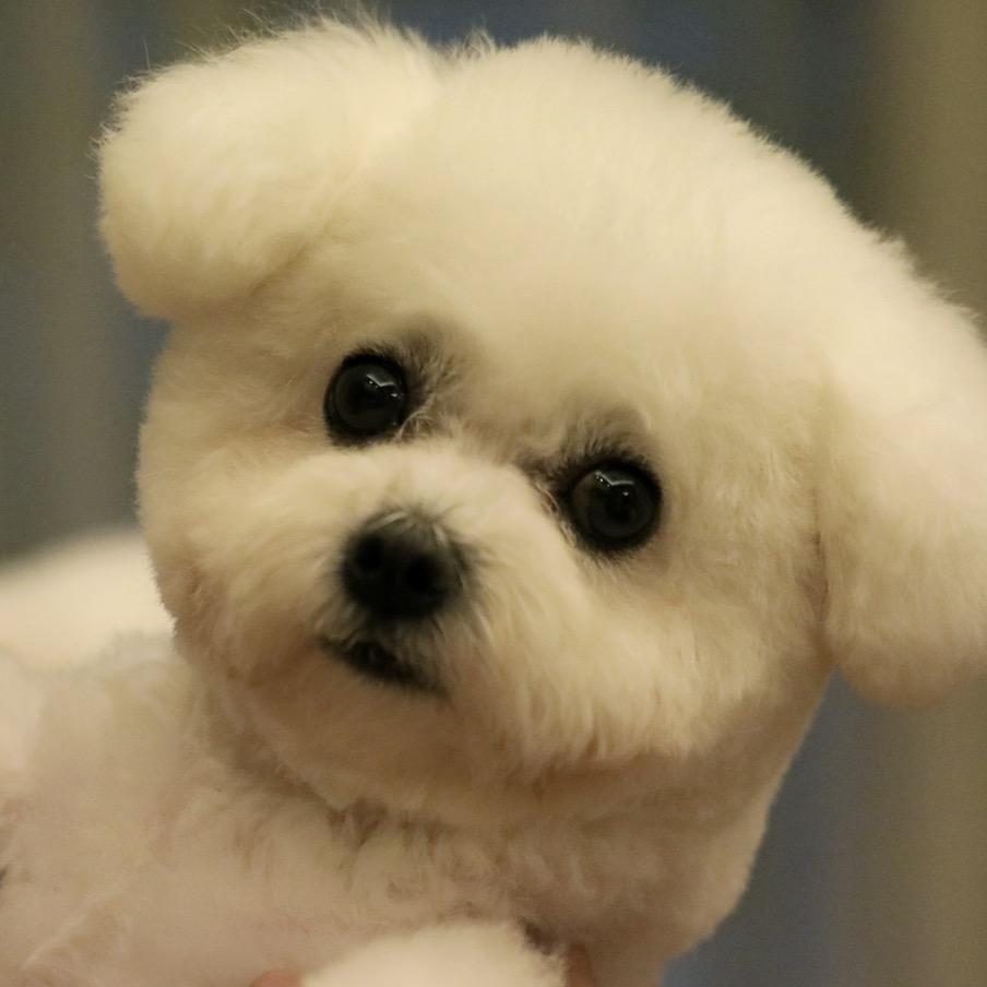 乌J哥 (凤凰🐦‍🔥)