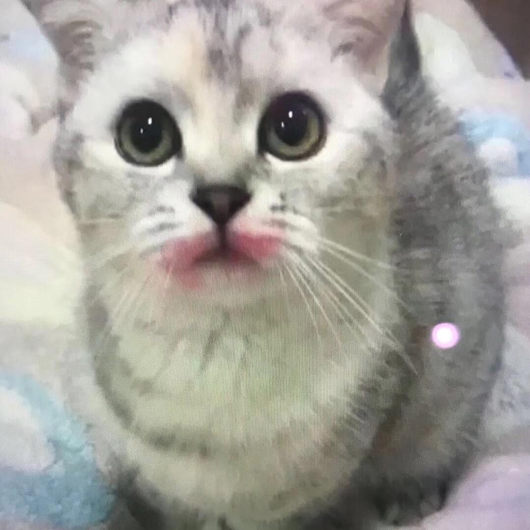 我也许不会