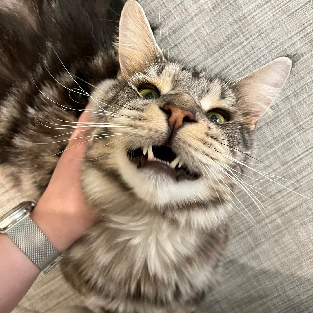 特能吃和他的同事们