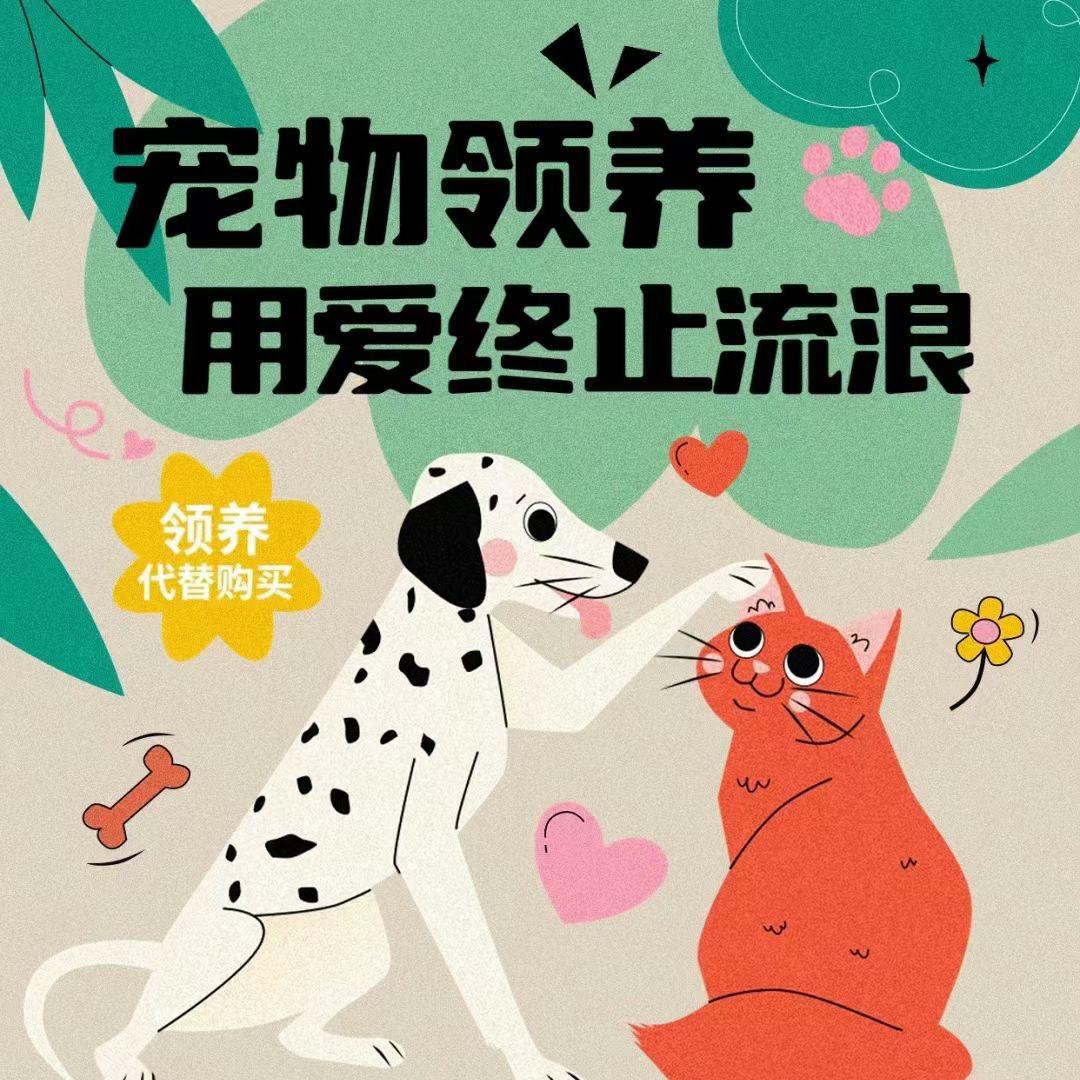 一只小福