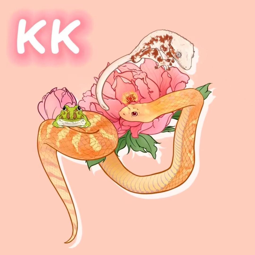 KK蛇宠