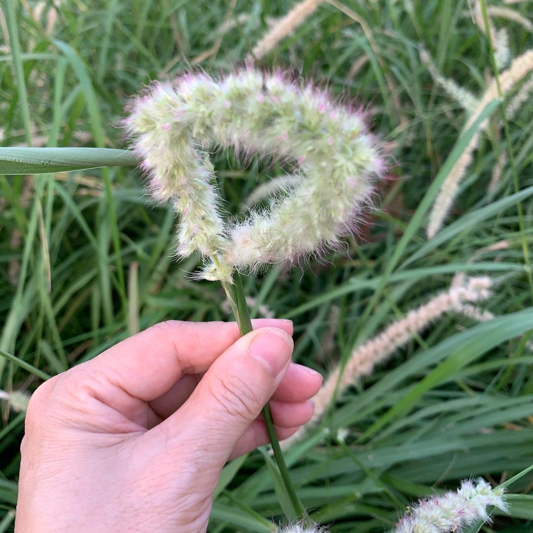 一土一木