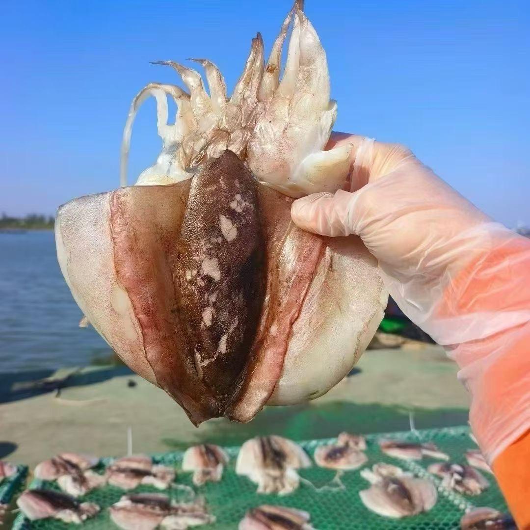 湛江阿妹海鲜干货