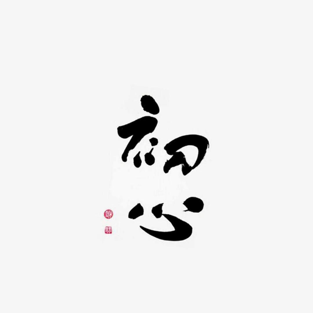 暴躁的小安迪