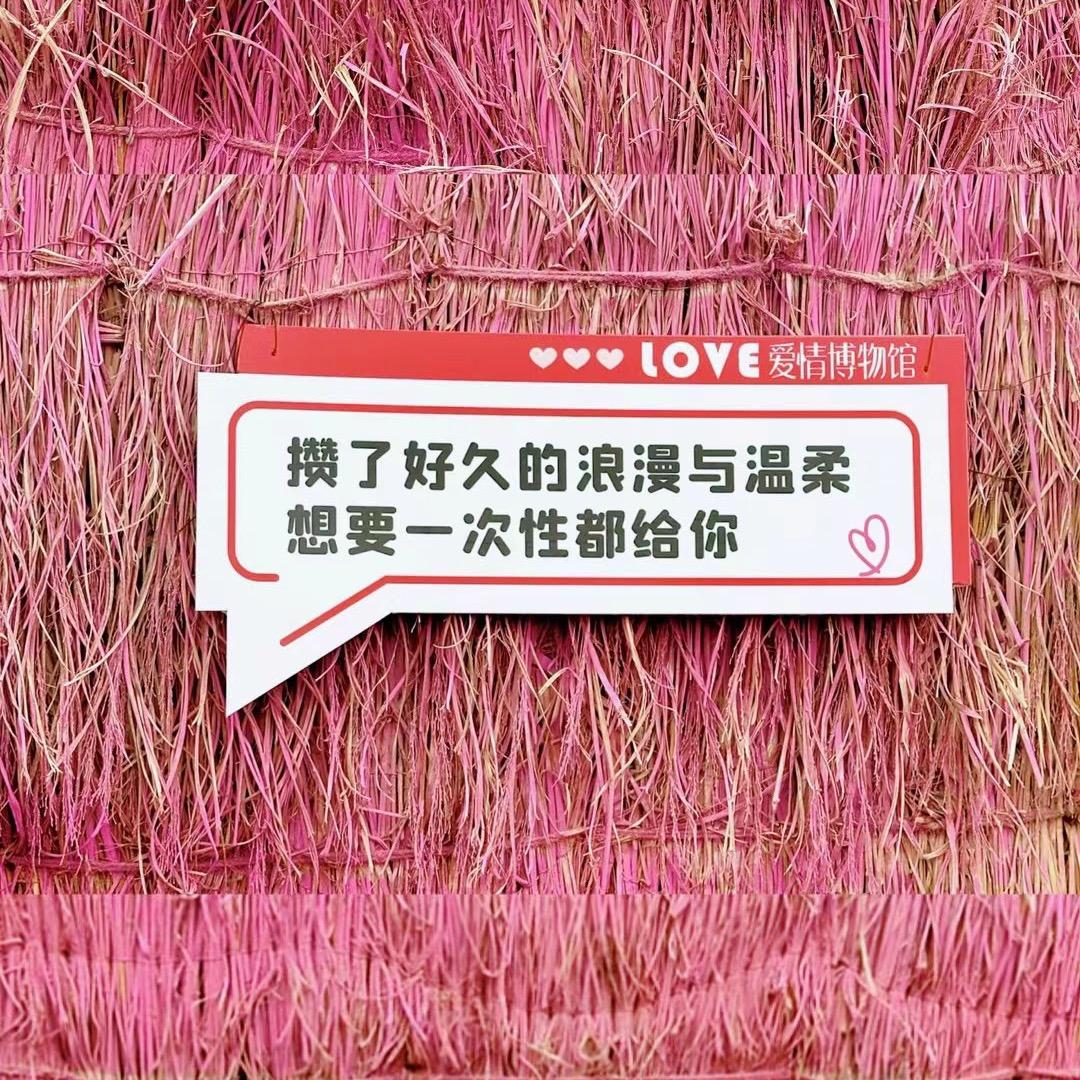 萍儿3