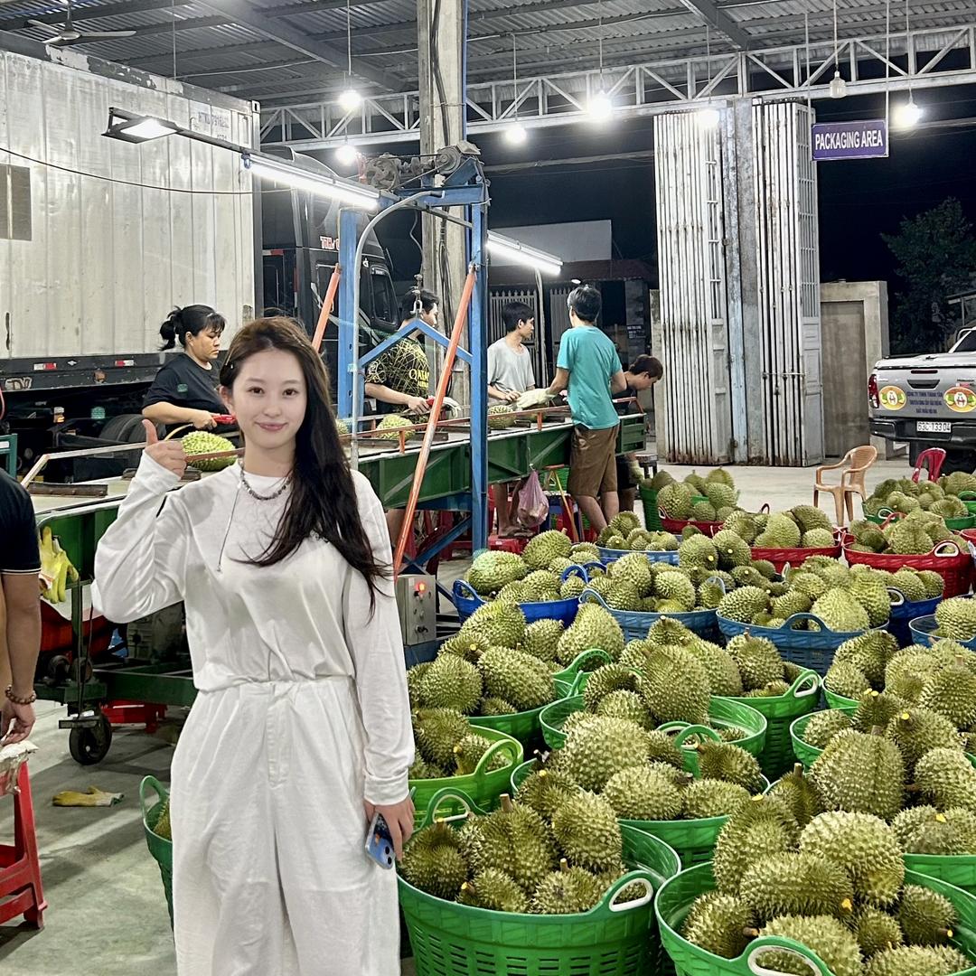 山东晟晶商贸（榴莲专卖）