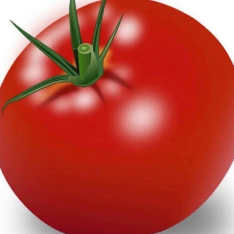 tomato大王