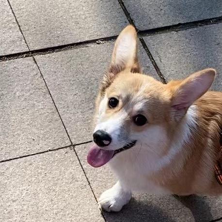 OPPO(文登艺利达店）