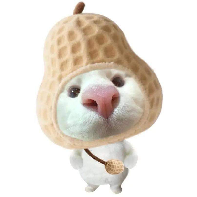 亲爱的X