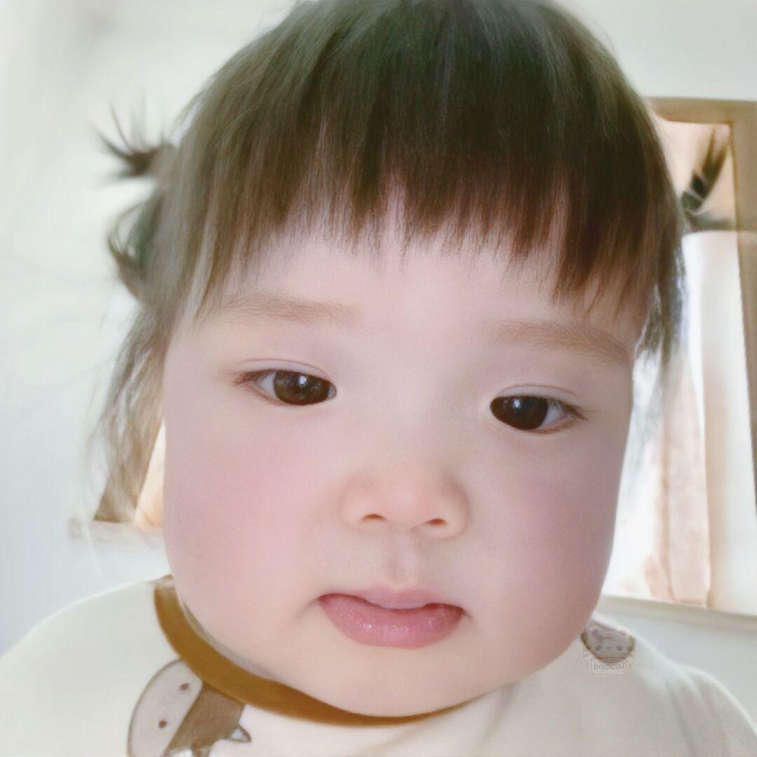 芝