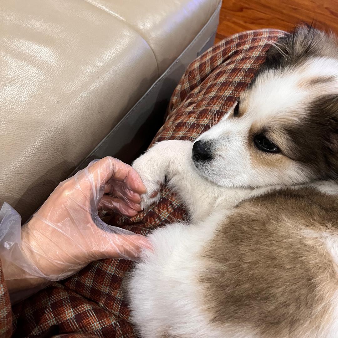 生米不吃熟饭🥠💦