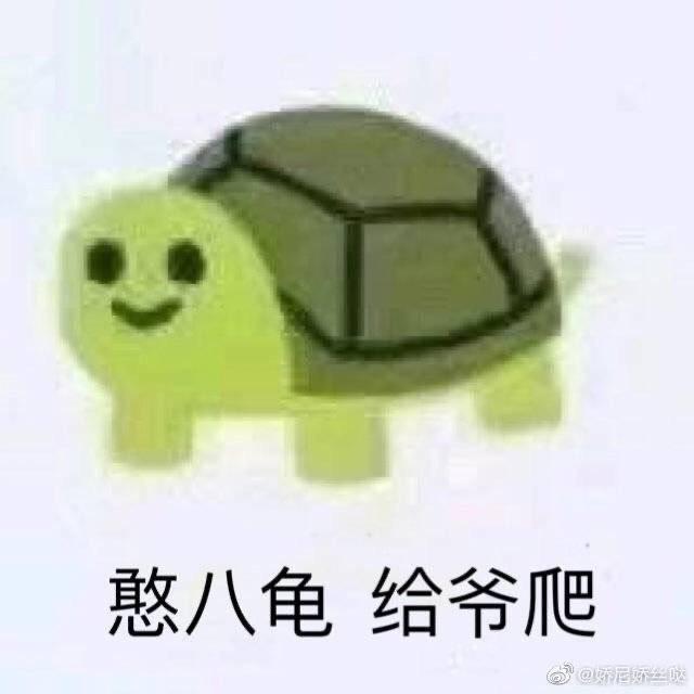憨八龟