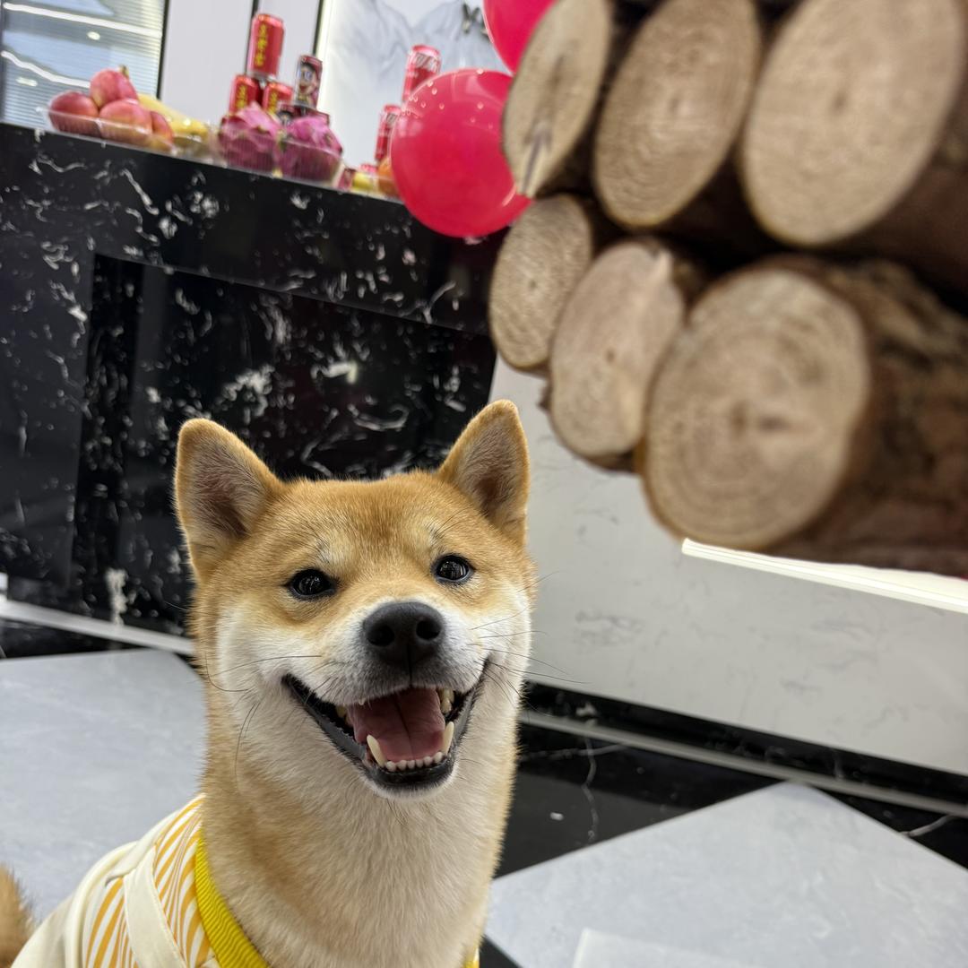 福柒女鞋店