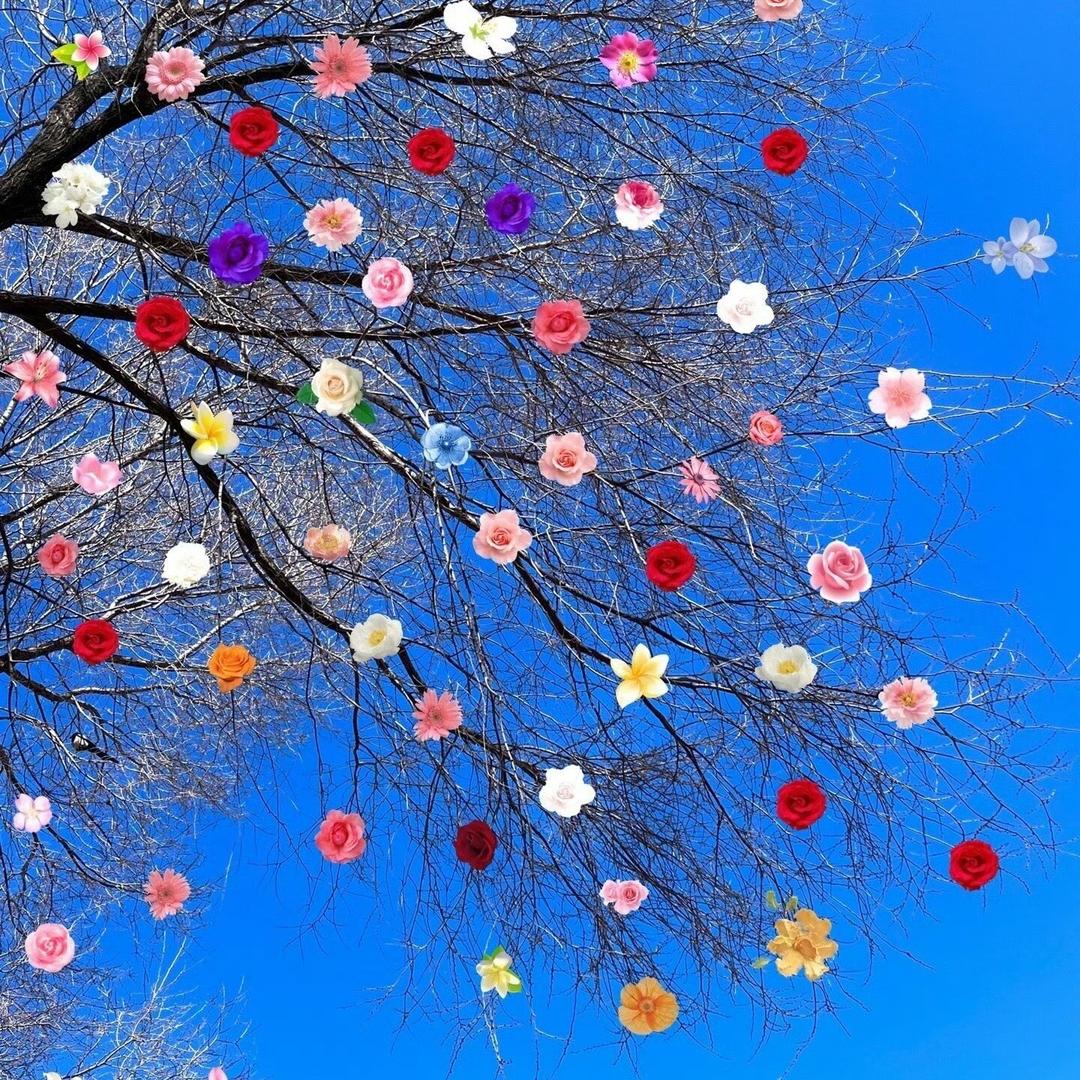 汽修资质备案～田